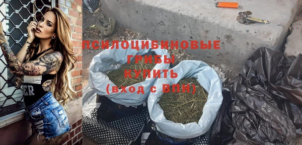 спайс Алзамай