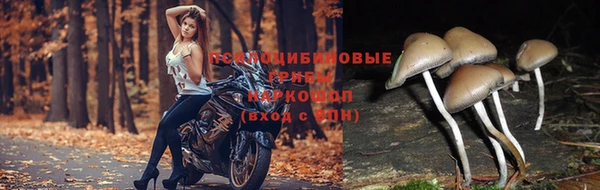 2c-b Алексеевка
