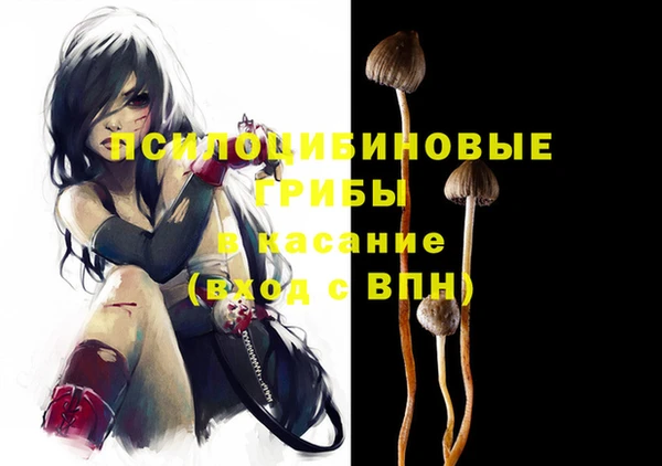 спайс Алзамай