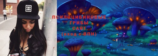шишки Абдулино