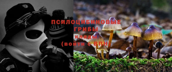 спайс Алзамай